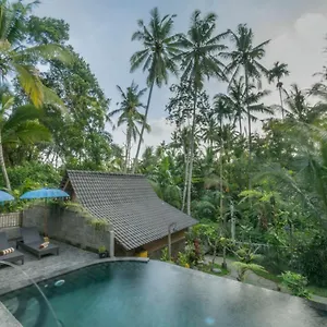 Sweet Orange , Ubud Indonésie